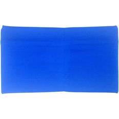 Blue Resistance Bands Sweat bands for men and women, gym accessories, exercise
