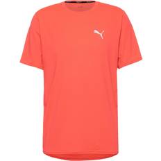 Puma Run Cloudspun Funktionsshirt Herren