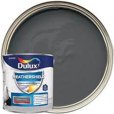 Dulux Grey Paint Dulux Weathershield Exterior Gloss Paint Gallant Grey