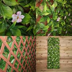 Green Screenings Samuel Alexander 100cm 200cm PE Backed Artificial Fence garden Trellis Privacy