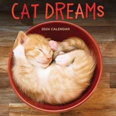 TF Publishing 2024 Cat Dreams Wall Calendar 24-1026