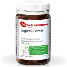 Dr. Wolz Ingwer Extrakt Kapseln 120