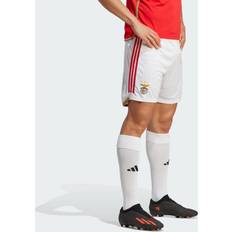 Adidas Benfica 23/24 Hjemmebaneshorts