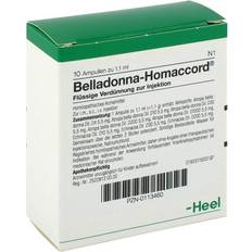 Biologische Heilmittel Heel GmbH BELLADONNA HOMACCORD Ampullen 10 St.