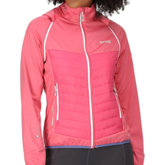 Regatta Women's Steren Hybrid Jacket - Fruit Dove