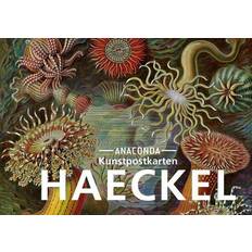 Postkarten-Set Ernst Haeckel