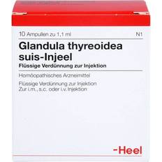 Biologische Heilmittel Heel GmbH GLANDULA THYREOIDEA suis Ampullen