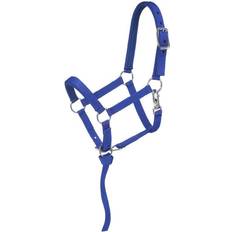 Tough-1 Nylon Padded Miniature Halter, Blue/Royal