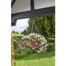 Smart Garden Faux Petunia Hanging Basket