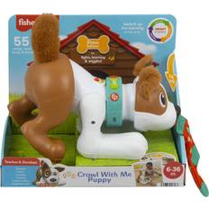 Fisher Price Crawl with Me Puppy