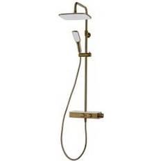 Triton Shower Systems Triton (RMPBDIV8) Brass