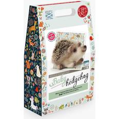 Needlework Kits Baby Hedgehog Needle Felting Kit