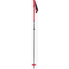 DPS Carbon Tour Ski Poles