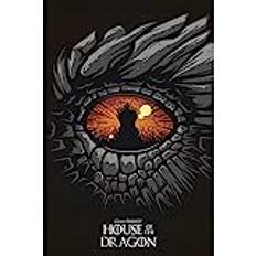 ABYstyle eye GBYDCO207 Maxi Game of Thrones House of The Dragon 61 Poster