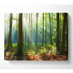 B&Q Woodland Blues And Greens Canvas Print Art Medium Wall Decor