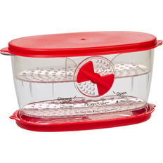 Red Kitchen Containers Progressive berry small fruits Kitchen Container