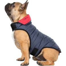 Trespass Kimmi Quilted Reversible Dog Coat Flint