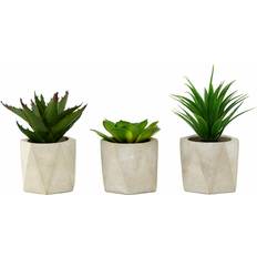 Premier Olivia's Freda Planter Succulent Set Of 3 In Geo Cement Pots