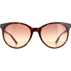 Calvin Klein Adult Sunglasses Calvin Klein CK18509S 238 Tortoise Milky Purple