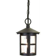 Outdoor Lighting Pendant Lamps Loops IP43 1 Bulb Chain Lantern Pendant Lamp