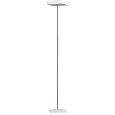 Alba Standing Fluosquare N Table Lamp