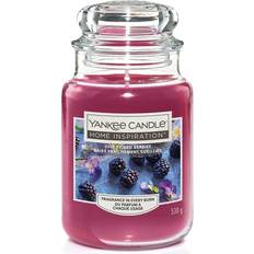 Yankee Candle Just Picked Berries Scented Candle 538g