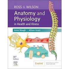 Medicine & Nursing Books Ross & Wilson Anatomy and Physiology in Health and Illness Anne Waugh (Hæftet)