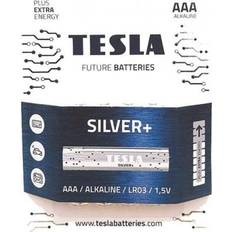 Tesla batteries silver aaa maximum power alkaline batteries 10 year shelf life