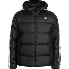 Adidas M - Men - Winter Jackets adidas Pad Hooded Jacket Black