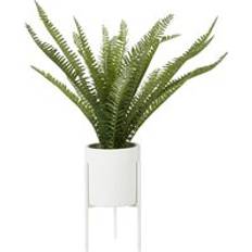 Premier Interiors Fern White Cement Pot with a Iron Stand