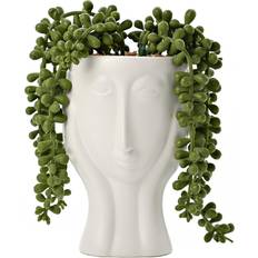 Hestia Face Planters with Plant 19cm