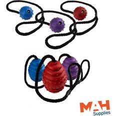 Classic Pet Products pimple dog ball on a rope with rattling bell puppy