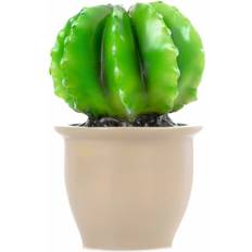 Egmont Toys Lamp Cactus Round Night Light