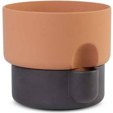 Northern Oasis Small Pot ∅15cm