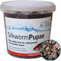 Evolution Aqua Silkworm Pupae 1.6kg