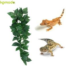 Komodo reptile sumatra vine silk plant vivarium tank