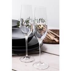 Maxwell & Williams Glasses Maxwell & Williams Vino Set Champagne Glass