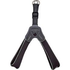 KW Coralpina dog harness cinquetorri dogs