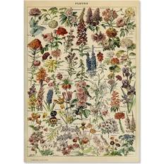 Shein 1pc Vintage Flower Poster Print, Botanical Flower Reference Picture