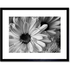 Square Framed Art ARTERY8 Nature Close Up Flower Petals Photograph Framed Art