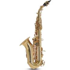 Roy Benson SG302 Soprano Saxophone