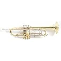 Roy Benson TR403 Bb Trumpet, Lacquer