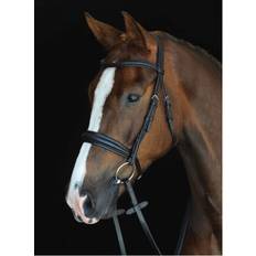 Bridles Weatherbeeta Black, Full Collegiate Mono Crown Padded Raised Cavesson Bridle