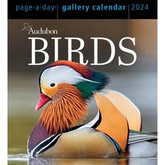 Workman Publishing Audubon Birds Page-A-Day Gallery Calendar 2024: Hundreds Birds, Expertly