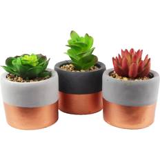 Leaf 14Cm Set Of Three Stoneware Mini Copper Band Planters With Succulent Plants