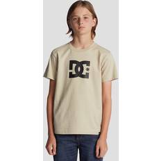 Brown T-shirts DC Star T-Shirt overcast T12