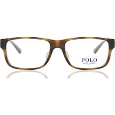 Polo PH2237U 5003 Shiny Havana 55MM