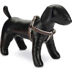 Designed by Lotte Virante 45, Hund, Spazieren, Halsband