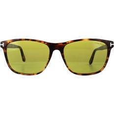 Tom Ford Men Sunglasses Tom Ford FT0629 Nicolo 55N Havana/Green