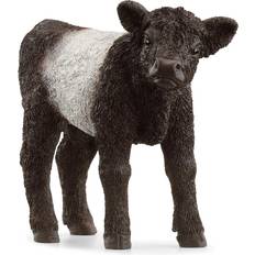 Schleich Galloway Calf 13969